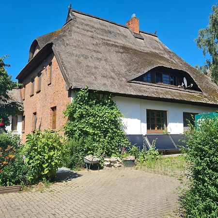 Renovated Apartment In The Old Farmhouse Krusenhagen Exterior foto